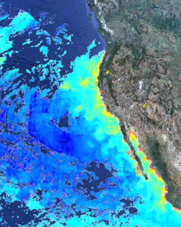 Report Urges NOAA To Head Off Ocean Color Data Gap - SpaceNews